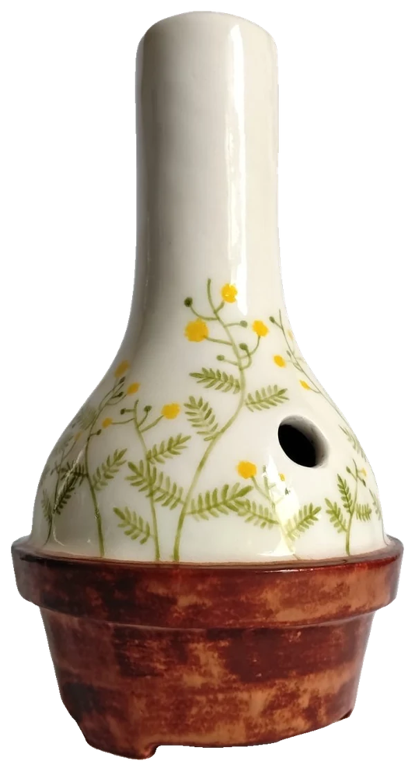 Fynbongs No. 01, Vachellia