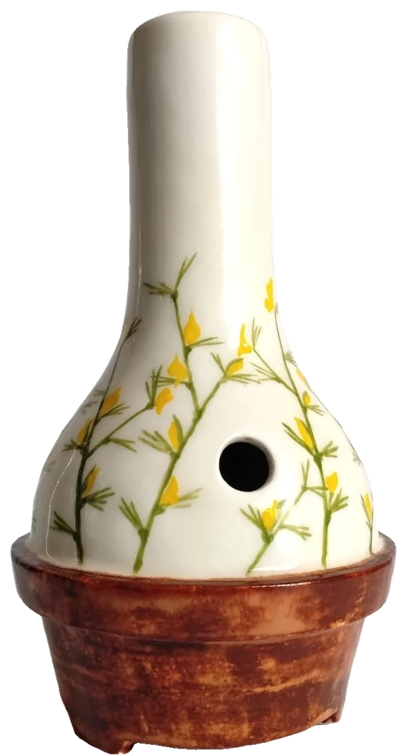 Fynbongs No. 02, Rooibos